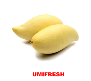 UMIFRESH Mango Lily 1kg